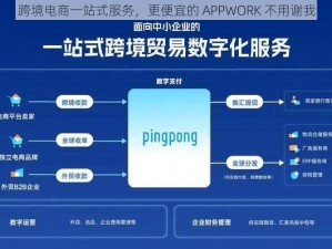 跨境电商一站式服务，更便宜的 APPWORK 不用谢我