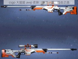 csgo 大姐姐 awp 皮肤：清凉一夏，狙击之选