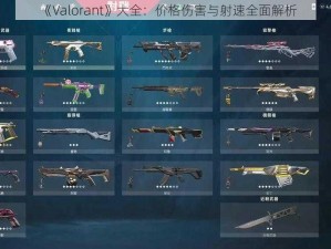 《Valorant》大全：价格伤害与射速全面解析