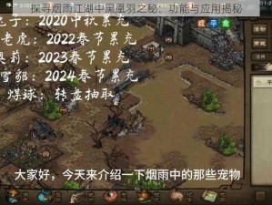 探寻烟雨江湖中黑凰羽之秘：功能与应用揭秘