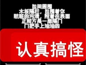 厕锁2电脑版下载地址及详细安装指南：操作教程与注意事项全解析