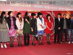 麻花传媒 MV 一二三区别——全方位解析一二三产品亮点