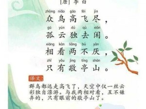 13000 幼儿破解之宝宝巴士国学