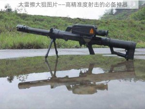 大雷擦大狙图片——高精准度射击的必备神器