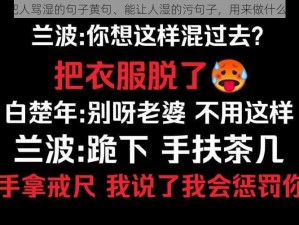 请把人骂湿的句子黄句、能让人湿的污句子，用来做什么呢？