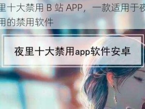 夜里十大禁用 B 站 APP，一款适用于夜间使用的禁用软件