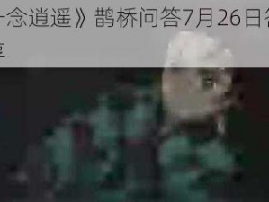 《一念逍遥》鹊桥问答7月26日答案分享