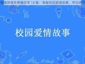 少女视频哔哩哔哩免费播放第 14 集：青春校园爱情故事，带你感受纯真初恋