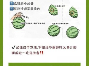 吃黑料瓜的注意事项：要挑选成熟的黑料瓜