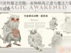 哈利波特魔法觉醒：生物相克之道与魔法力量的博弈探索