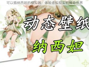 可以插纳西妲的模拟器：体验虚拟现实的神奇世界