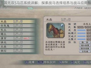 真三国无双5马匹系统详解：探索战马选择培养与战斗应用指南