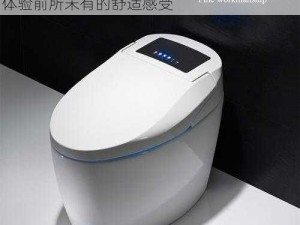 小泽玛利亚厕所大喷水，日本进口高级坐便器，智能清洗、自动加热、暖风烘干，让你体验前所未有的舒适感受