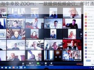 Zoom 与牛幸胶 ZOOm：一款提供视频会议、即时通讯等功能的软件