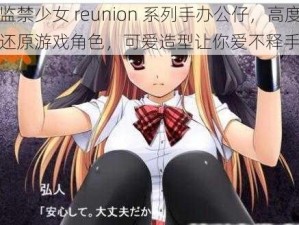 监禁少女 reunion 系列手办公仔，高度还原游戏角色，可爱造型让你爱不释手