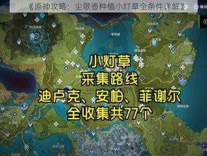 《原神攻略：尘歌壶种植小灯草全条件详解》