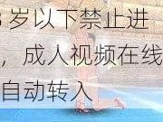 18 岁以下禁止进入，成人视频在线观看自动转入