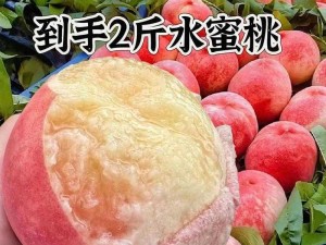 巨无霸水蜜桃 4439，个大味甜，汁多爽口，是桃中极品