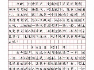 乐乐的 jianying 日记阅读——看别人的故事，收获自己的成长