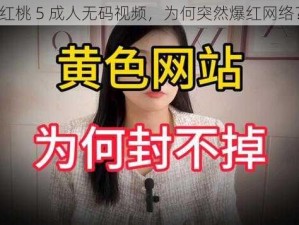 红桃 5 成人无码视频，为何突然爆红网络？