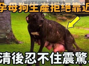 震惊国产母狗竟做出这种事