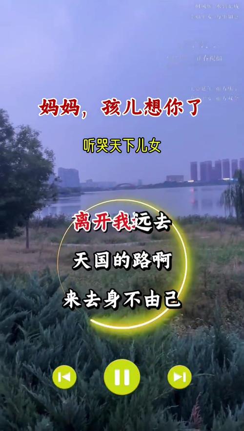 高清 mv 妈妈我想你看完泪：珍藏母爱的感人之作