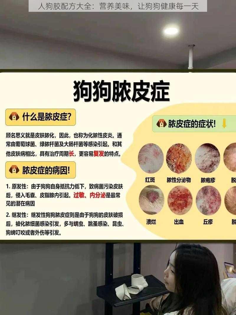 人狗胶配方大全：营养美味，让狗狗健康每一天