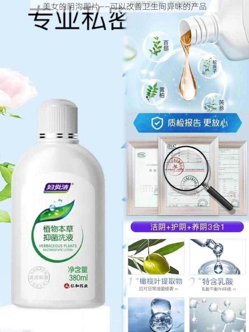 美女的阴沟图片——可以改善卫生间异味的产品