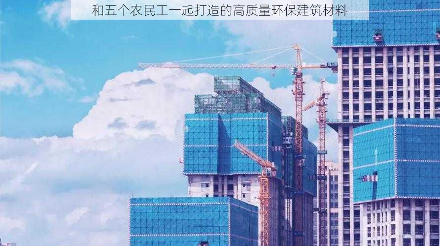 和五个农民工一起打造的高质量环保建筑材料