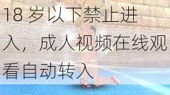 18 岁以下禁止进入，成人视频在线观看自动转入