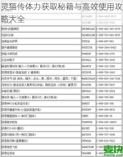 灵猫传体力获取秘籍与高效使用攻略大全