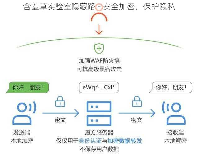 含羞草实验室隐藏路 - 安全加密，保护隐私