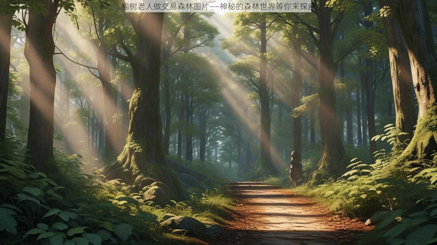 榆树老人做交易森林图片——神秘的森林世界等你来探索