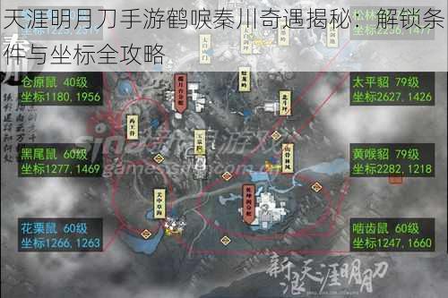 天涯明月刀手游鹤唳秦川奇遇揭秘：解锁条件与坐标全攻略