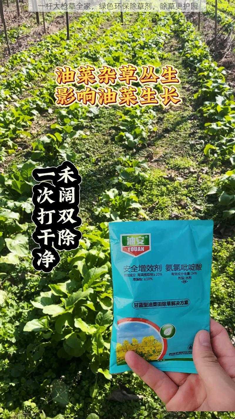 一杆大枪草全家，绿色环保除草剂，除草更护园