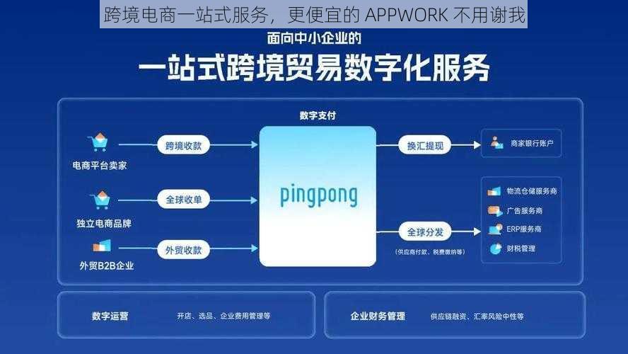 跨境电商一站式服务，更便宜的 APPWORK 不用谢我