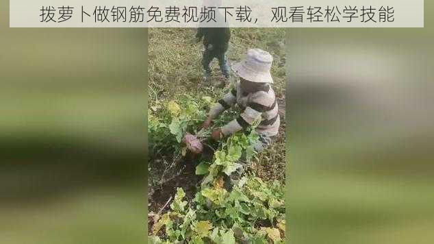 拨萝卜做钢筋免费视频下载，观看轻松学技能