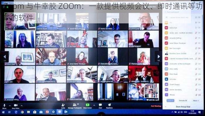 Zoom 与牛幸胶 ZOOm：一款提供视频会议、即时通讯等功能的软件