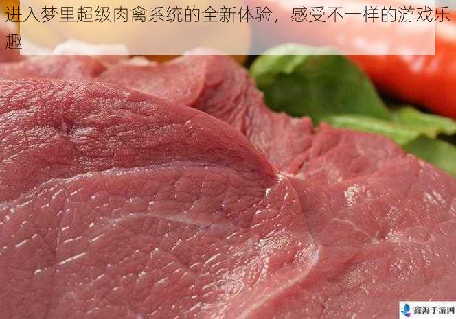 进入梦里超级肉禽系统的全新体验，感受不一样的游戏乐趣