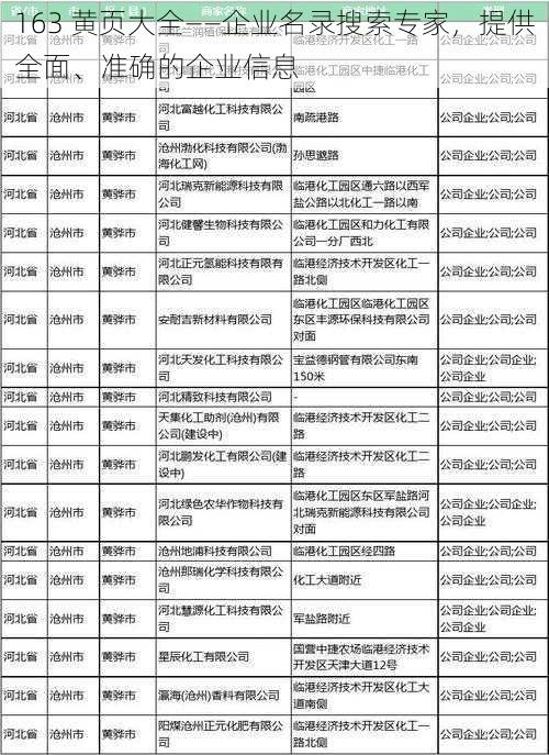 163 黄页大全——企业名录搜索专家，提供全面、准确的企业信息