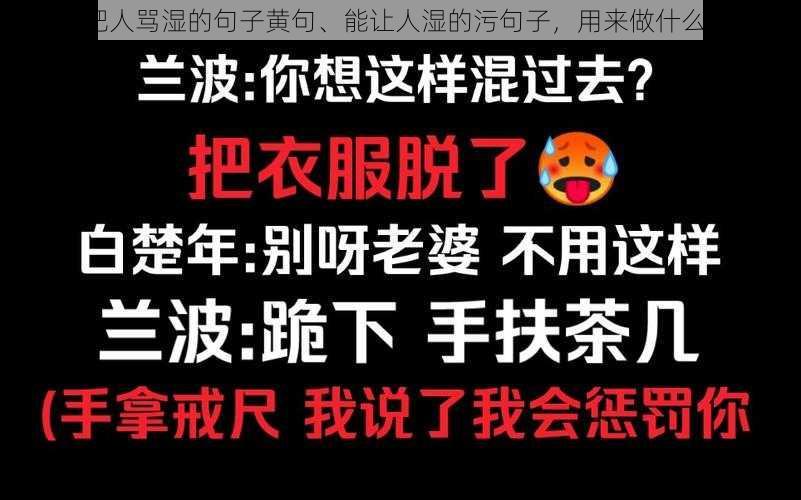 请把人骂湿的句子黄句、能让人湿的污句子，用来做什么呢？