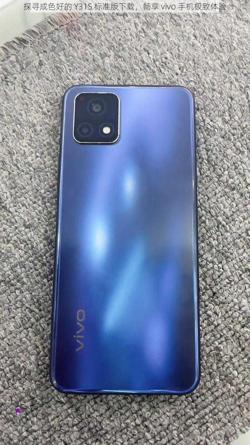 探寻成色好的 Y31S 标准版下载，畅享 vivo 手机极致体验