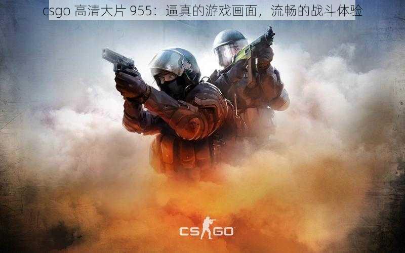 csgo 高清大片 955：逼真的游戏画面，流畅的战斗体验