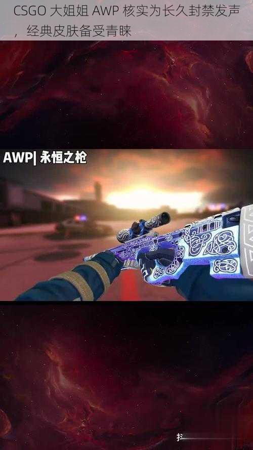 CSGO 大姐姐 AWP 核实为长久封禁发声，经典皮肤备受青睐