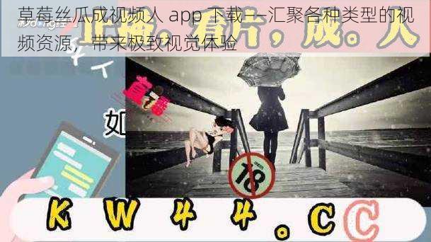 草莓丝瓜成视频人 app 下载——汇聚各种类型的视频资源，带来极致视觉体验