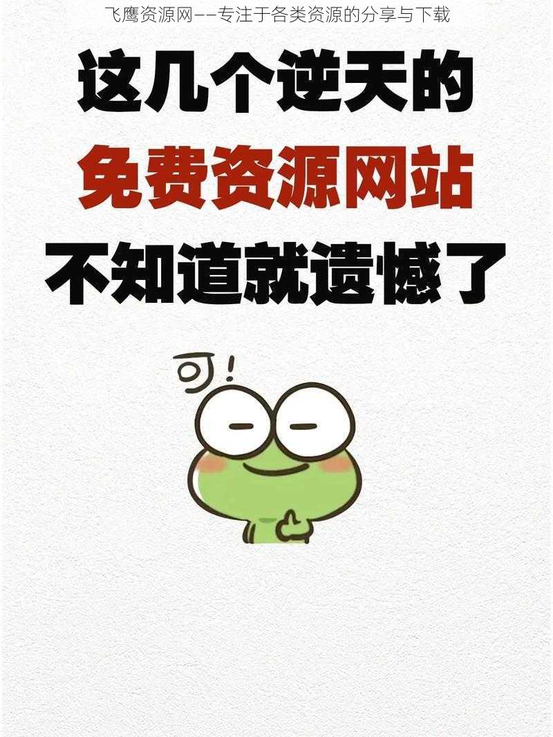 飞鹰资源网——专注于各类资源的分享与下载