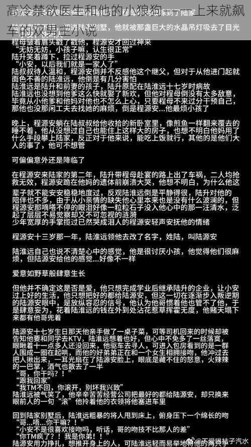 高冷禁欲医生和他的小狼狗——一上来就飙车的双男主小说