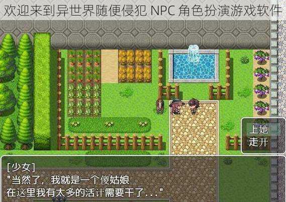 欢迎来到异世界随便侵犯 NPC 角色扮演游戏软件