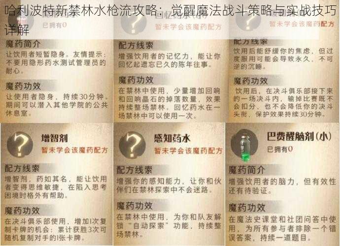 哈利波特新禁林水枪流攻略：觉醒魔法战斗策略与实战技巧详解