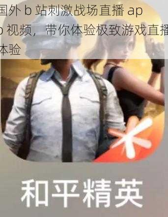 国外 b 站刺激战场直播 app 视频，带你体验极致游戏直播体验